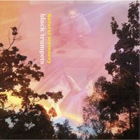 Black Trumpets - Natural Screenery