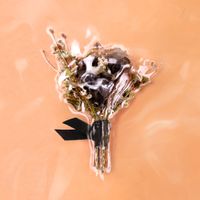Carame/ - No Please