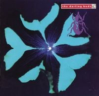 The Darling Buds - Crawdaddy