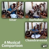 S Balachander - Sitar, Surbahar and Chandraveena - A Musical Comparison