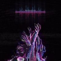 The Animal In Me - Running from the Noise