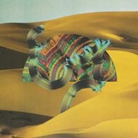 Django Django - Django Django