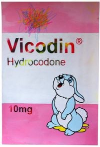 ☆♀☆♀ＳＴＡＲ ＧＩＲＬ☆♀☆♀ - Vicodin Hydrocodone