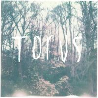 Torus - Torus