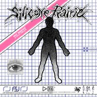 Silicone Prairie - My Life on the Silicone Prairie
