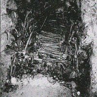 Ctenizidae - .​.​.​Of Rotting Soil and Spine