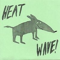Makeout Videotape - Heat Wave!