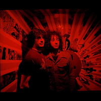 Albert Hammond Jr. - In Transit