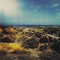 The Horrors - Still Life