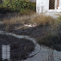 Karkait - Yevul