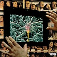 Broadband - Serpents