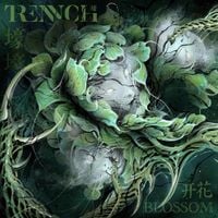Trench - Blossom