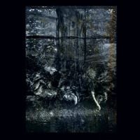 The Revolutionary Army of the Infant Jesus - Nocturnes