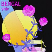 Bengal - Shiv