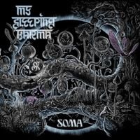 My Sleeping Karma - Soma