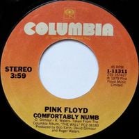 Pink Floyd - Comfortably Numb