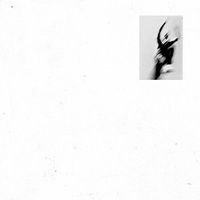 Ben Howard - Far Out / Follies Fixture