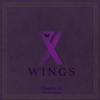 PIXY - Wings
