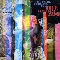 The Tangerine Zoo - Outside Looking In