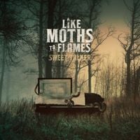 Like Moths To Flames - Sweet Talker