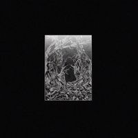 30 - The Frost on Your Head