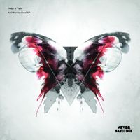 Dodge & Fuski - Bad Meaning Good