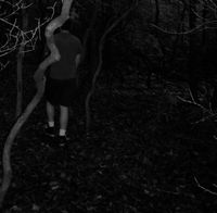 Canopy - Demos