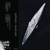 Evitceles - Black Leaf