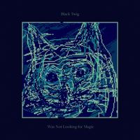 Black Twig - Was Not Looking For Magic