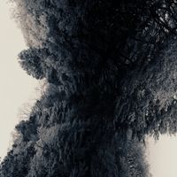Nebel Lang - Hand In Mine