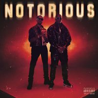 Bugzy Malone - Notorious