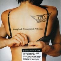 Aerosmith - Young Lust: The Aerosmith Anthology