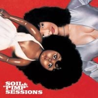 Soil & Pimp Sessions - 6
