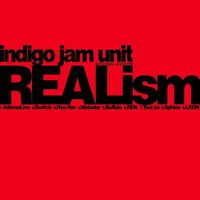Indigo Jam Unit - Realism