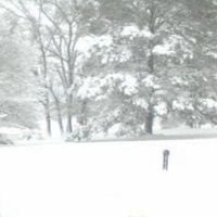 RINGEX PLASTER - 23​.​2: japanese programs hiatus (nothing here)