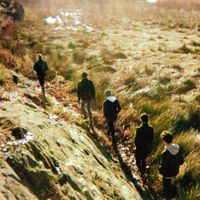 Halogen Beaches - Resting Tone