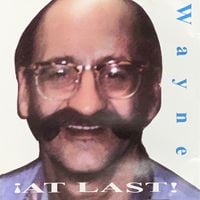 Wayne - &iexcl;At Last!