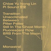 Chloe Yu Nong Lin - Pi Sound 琶聲