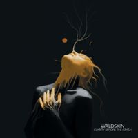 Waldskin - Clarity Before The Crash