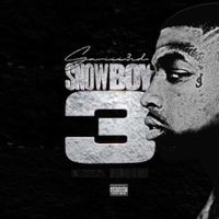 Saviii 3rd - SNOWBOY 3