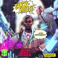 9th Wonder & Buckshot - Chemistry