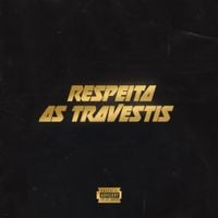 A Travestis - Respeita as Travestis