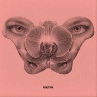 Katarzia - Agnostika
