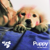 Doss - Puppy