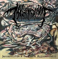 Mvltifission - Decomposition in the Painful Metamorphosis