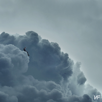 NF - LOST