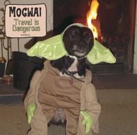Mogwai - Travel is Dangerous