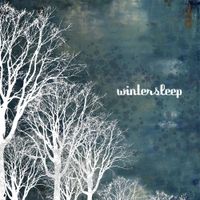 Wintersleep - Wintersleep