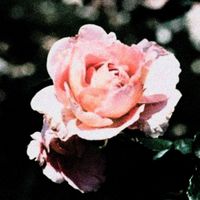 DJ Boneyard - House Crime Vol. 3