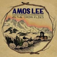 Amos Lee - As the Crow Flies